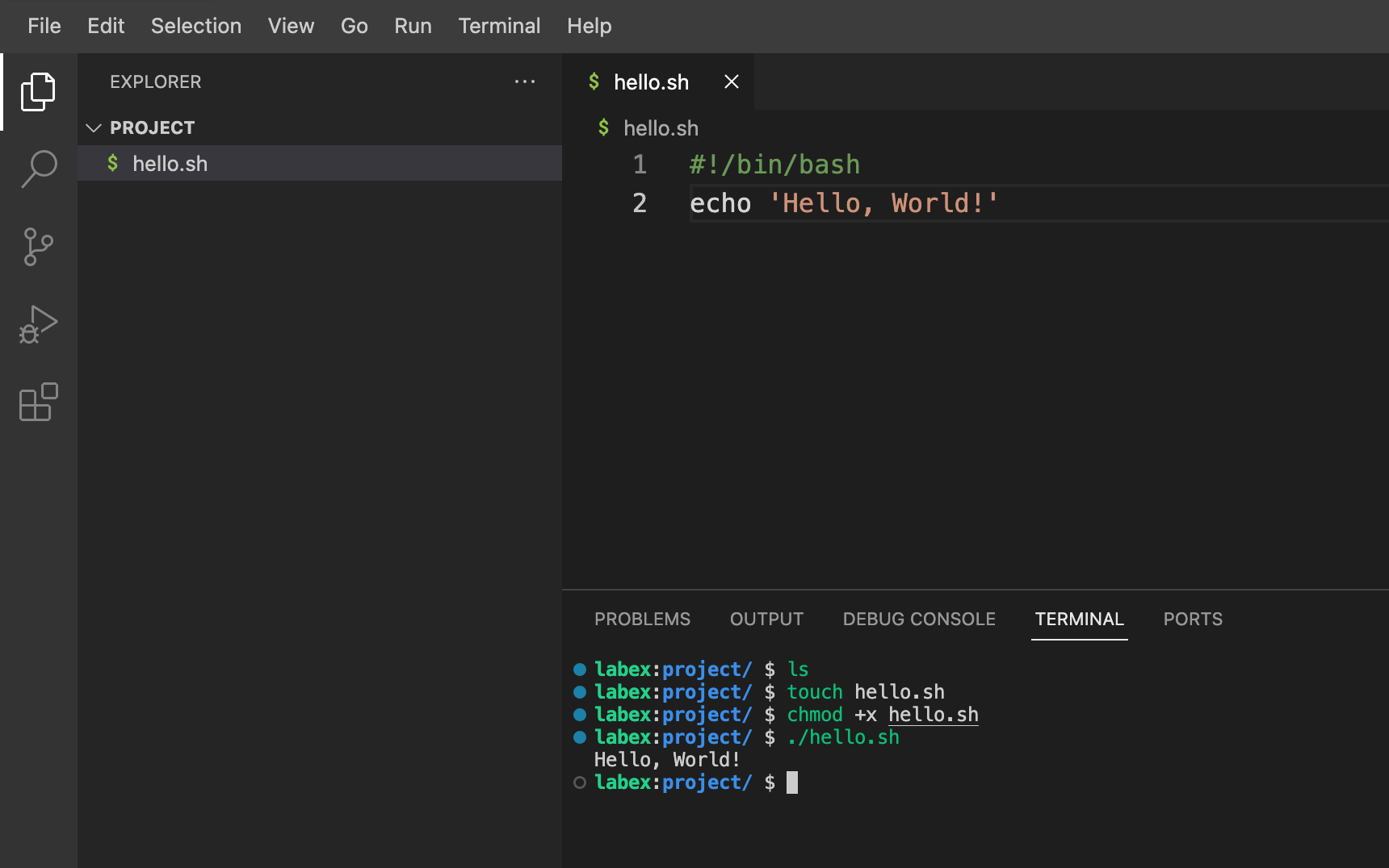Terminal script execution output